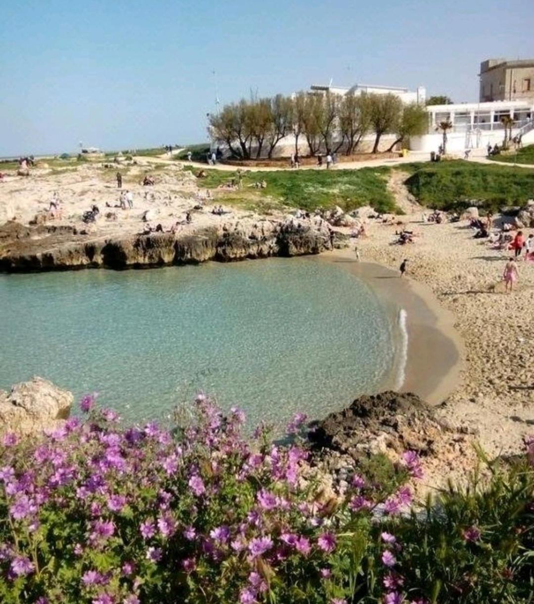 莫诺波利Da Luigi Locazioni Brevi Turistiche住宿加早餐旅馆 外观 照片